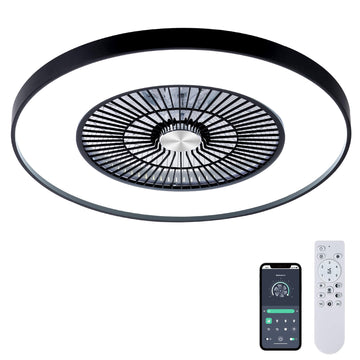 24" Ceiling Fan with Light and Remote/APP Control, Low Profile Ceiling Fan with RGB Lights for Bedroom Kid's Bedroom-Black